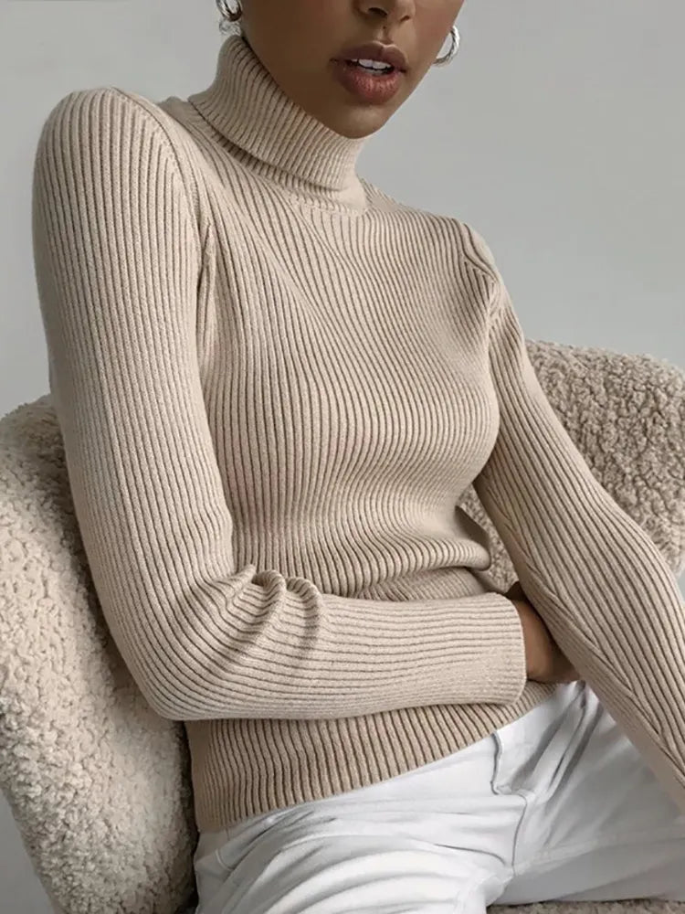 Heliar Women Fall Turtleneck Sweater Knitted