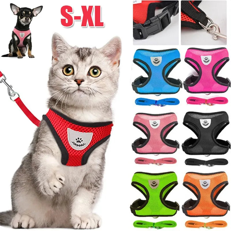 Harness with Lead Leash