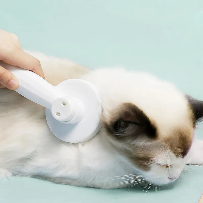 Cat Comb Hair Removal